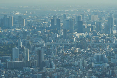 tokyo aerial cityscape 197 — download