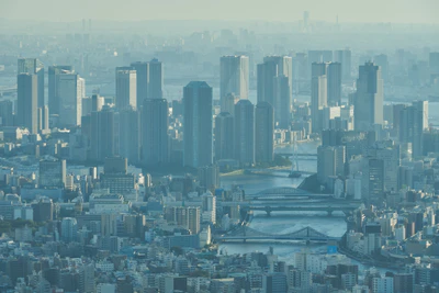 tokyo aerial cityscape 203 — download