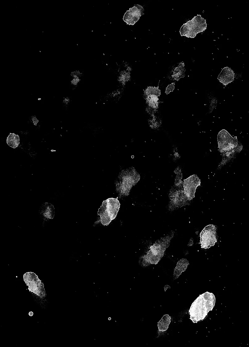 waterdanage drops impact splashes 037 — Download