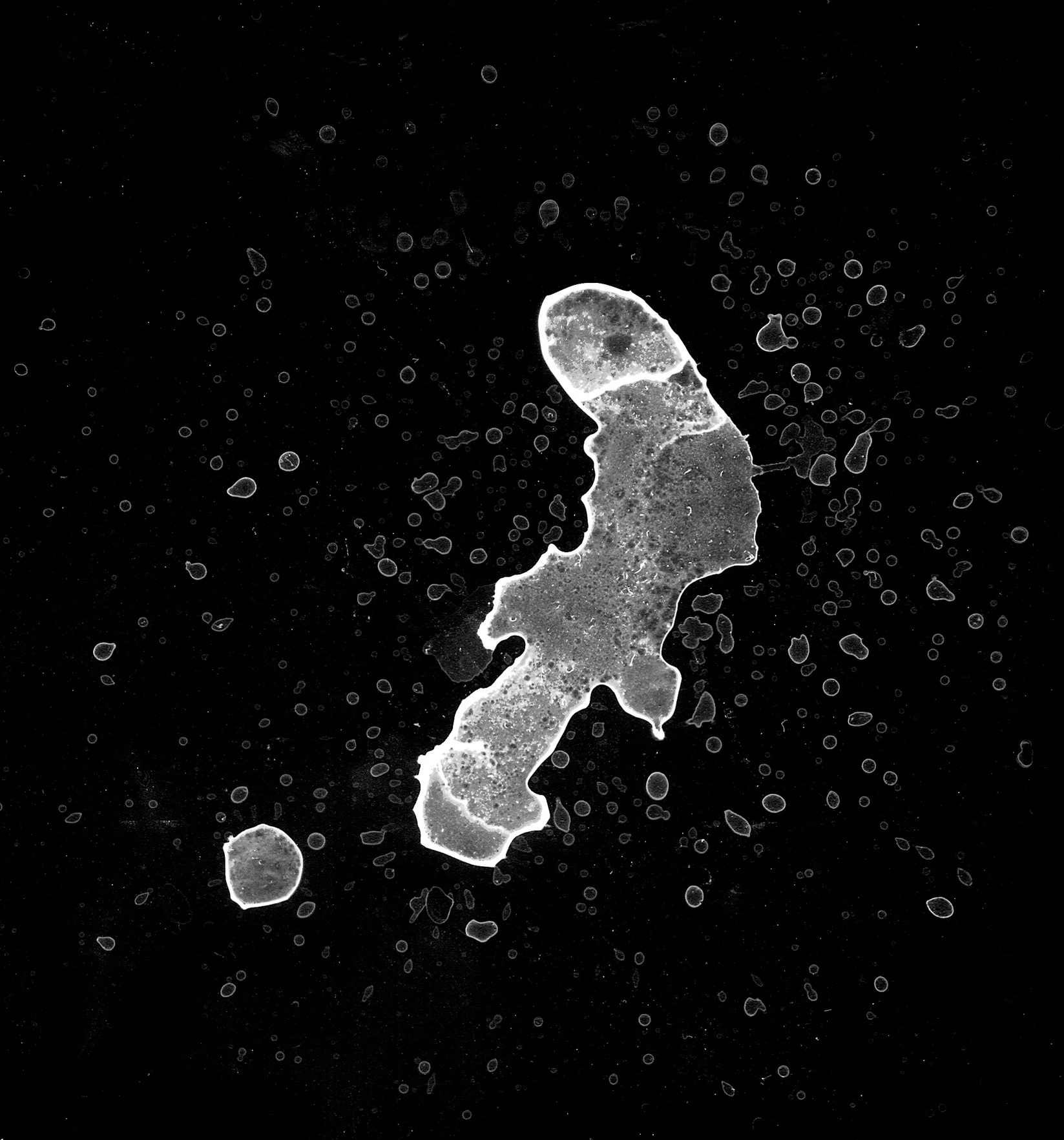 waterdanage drops impact splashes 046 — Download