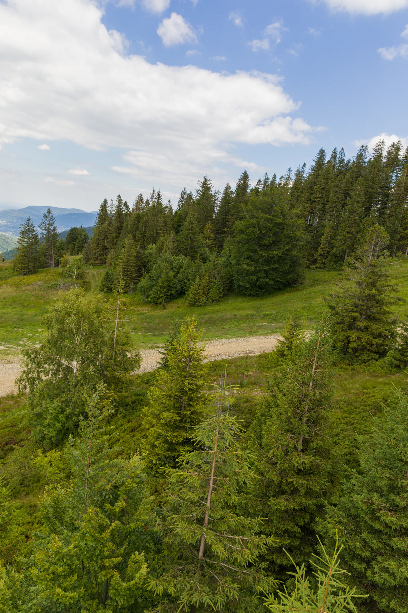 1157 — Скачать