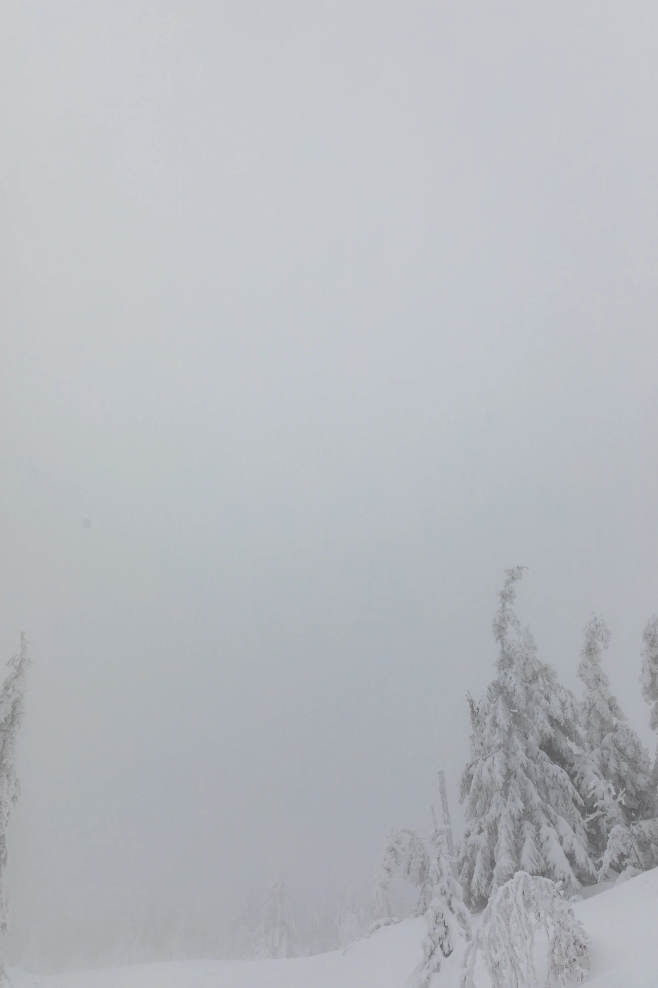 451 — Скачать