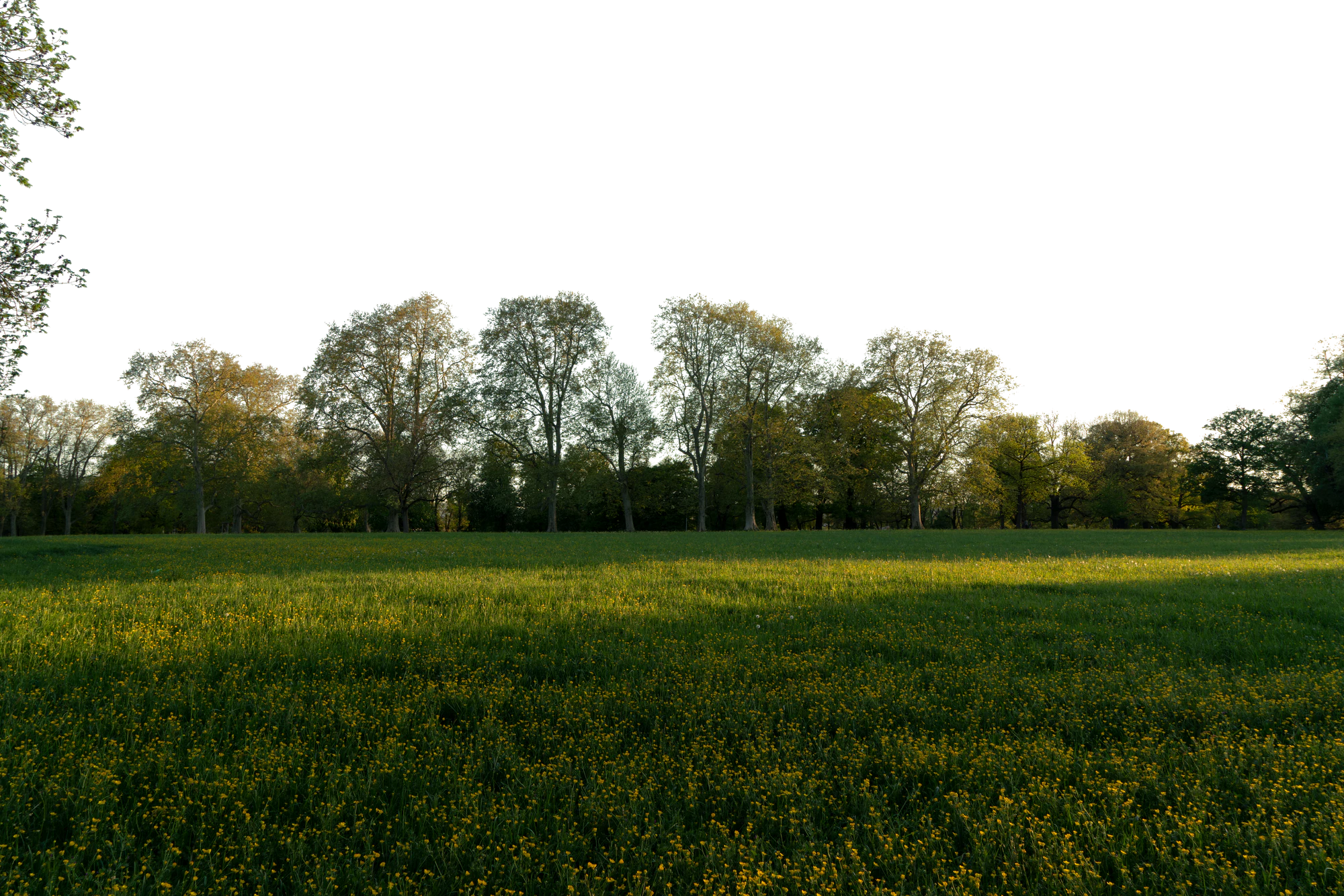 background 037 — Download