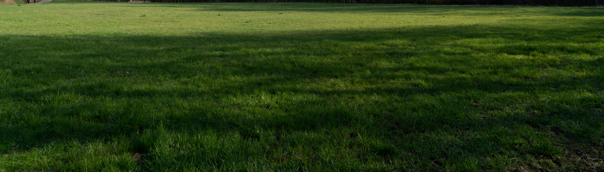 grass 036 — Download