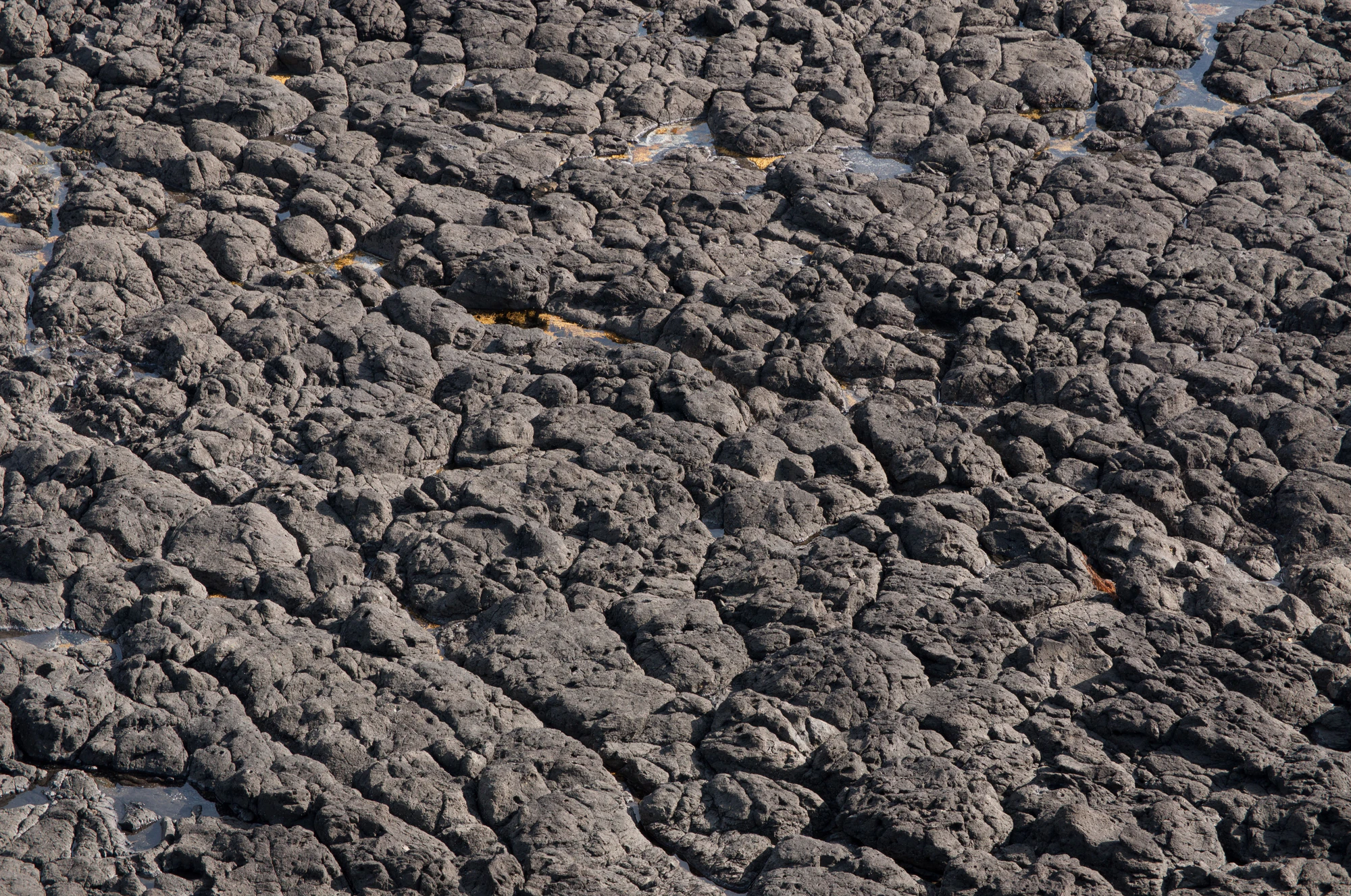 042 — Скачать