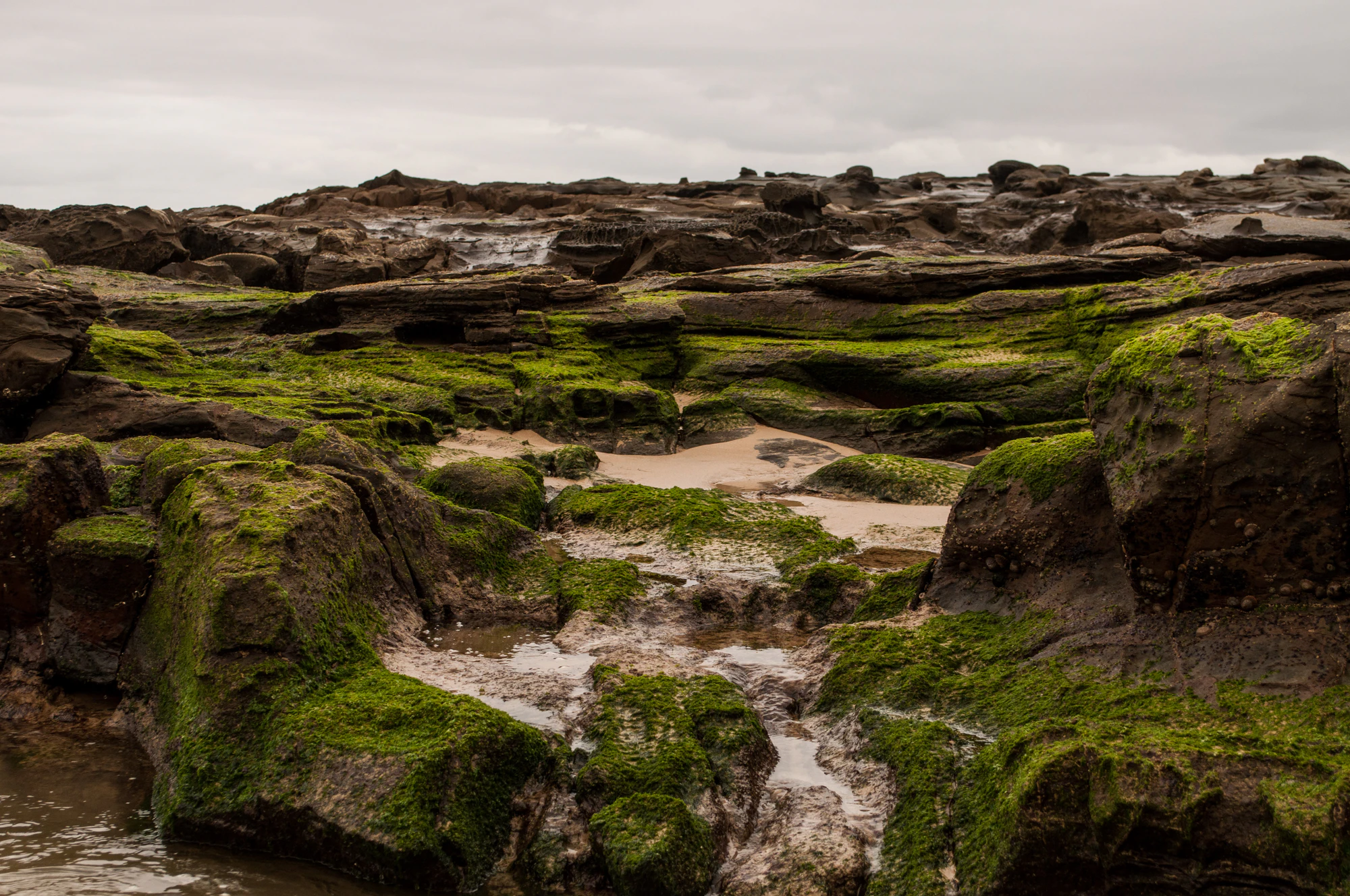 278 — Скачать