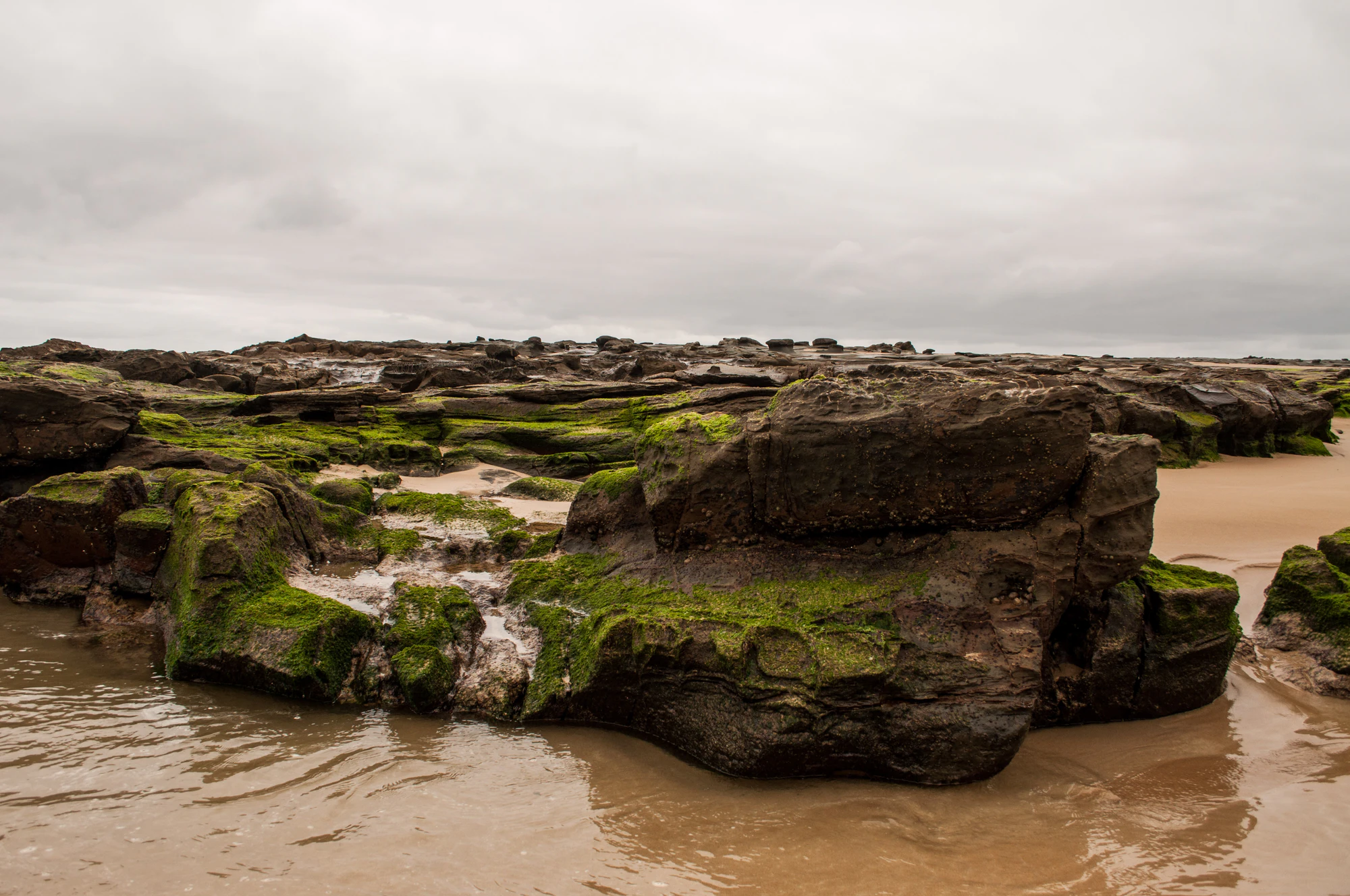 279 — Скачать