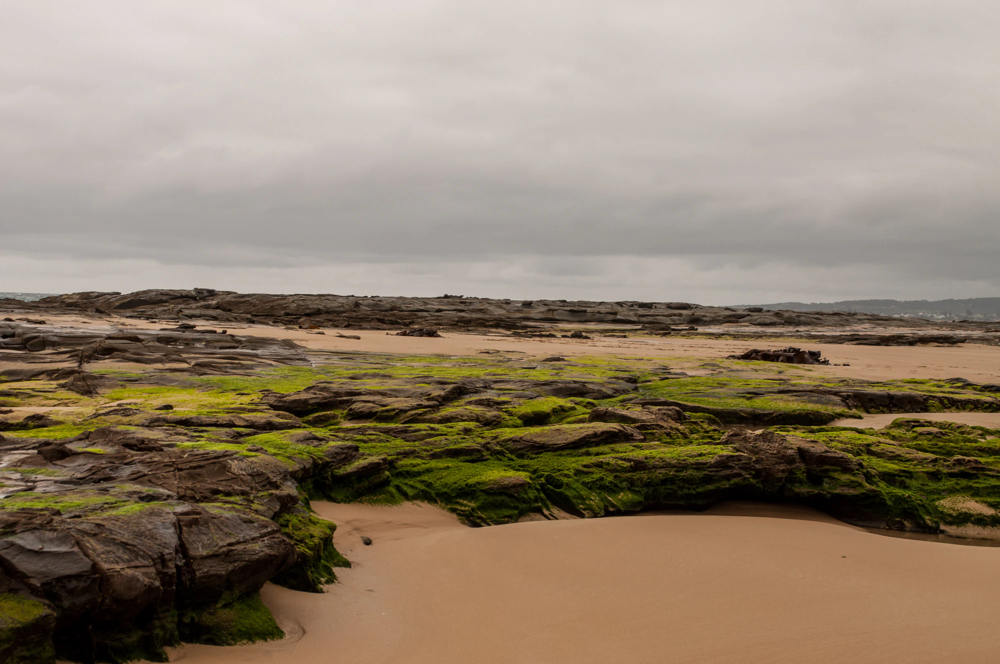 284 — Скачать