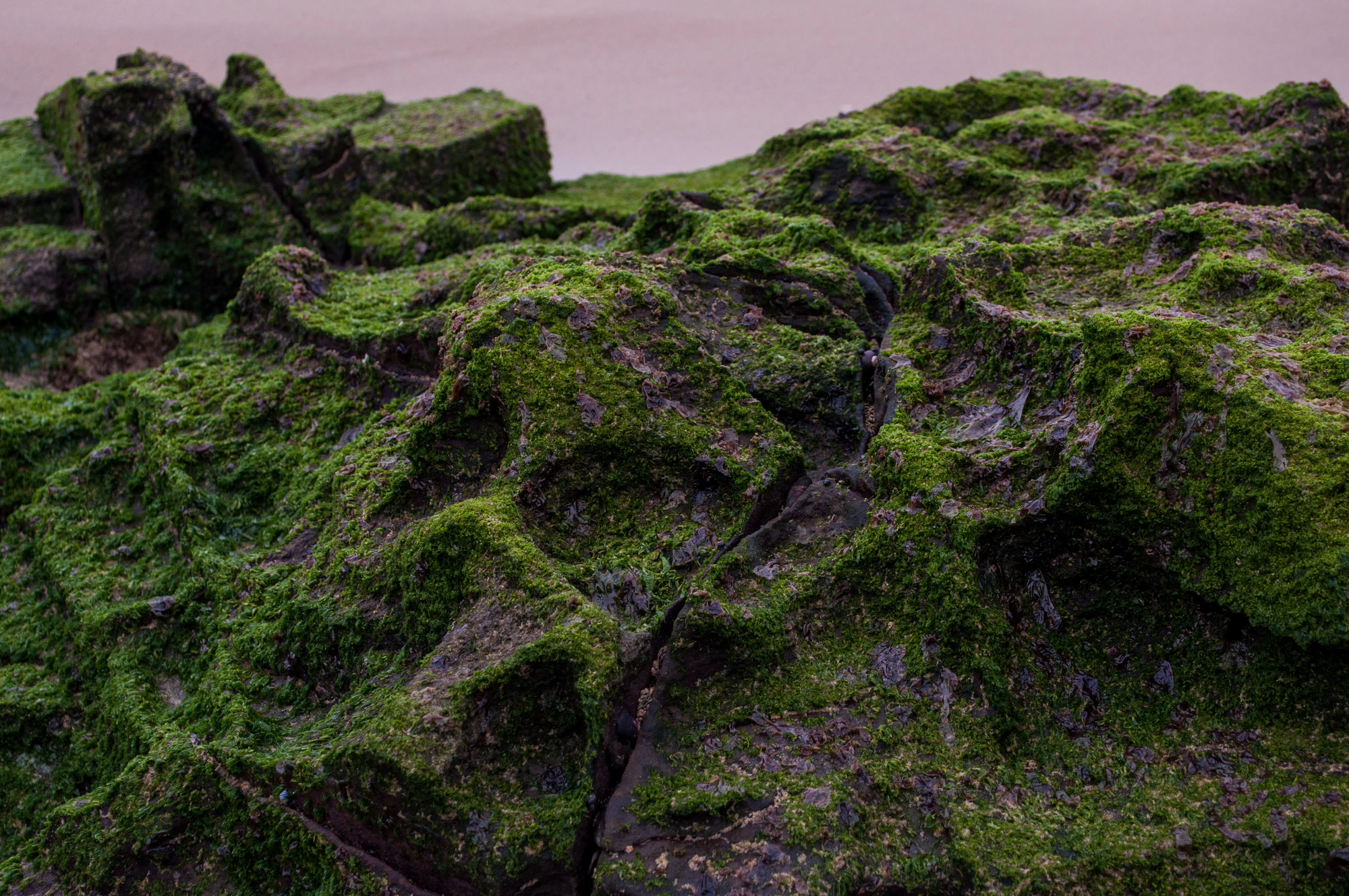 286 — Скачать