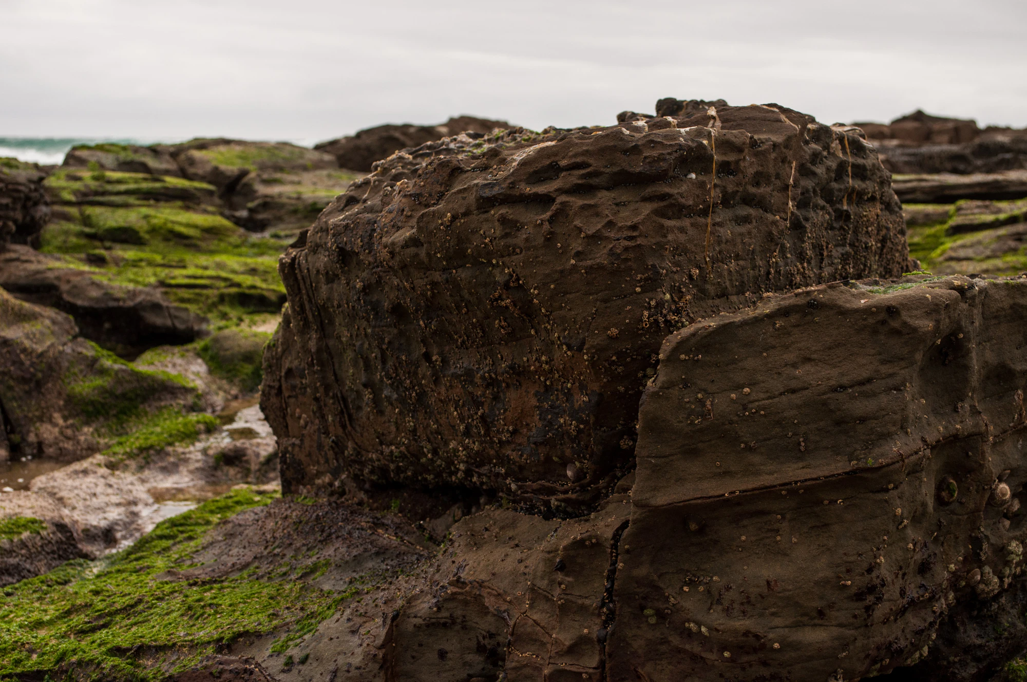 287 — Скачать