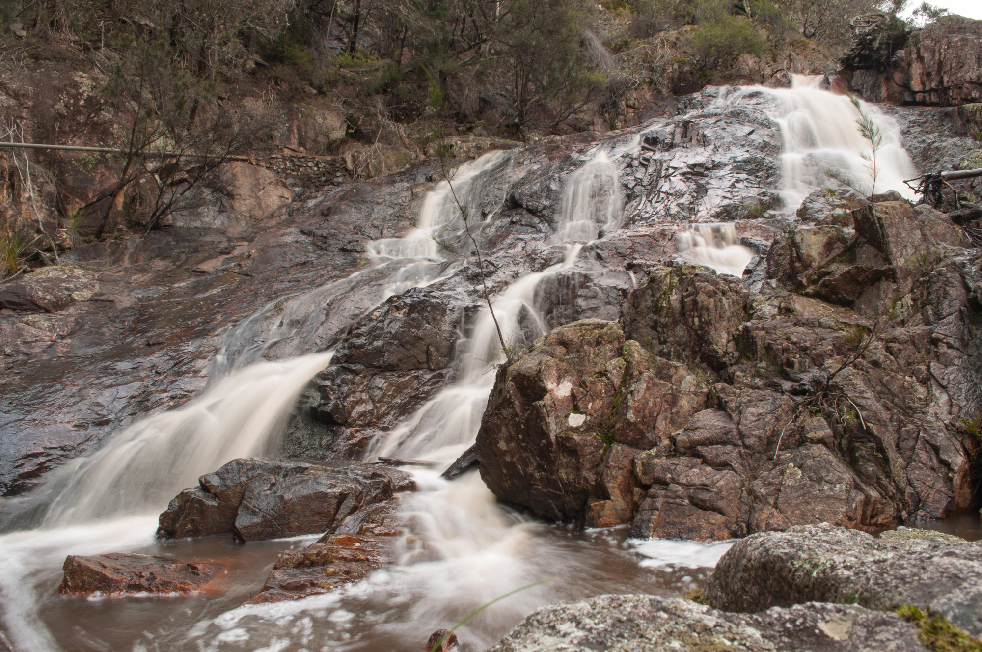 596 — Скачать