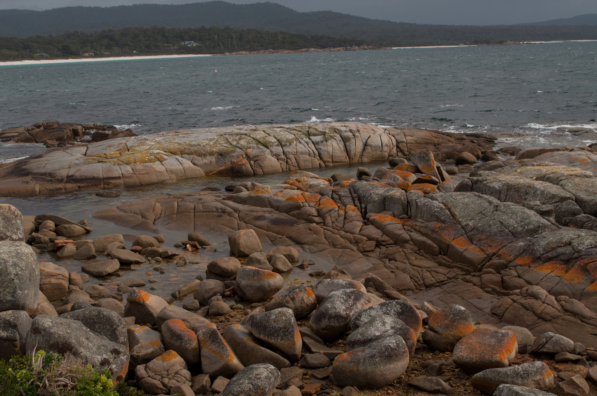 598 — Скачать