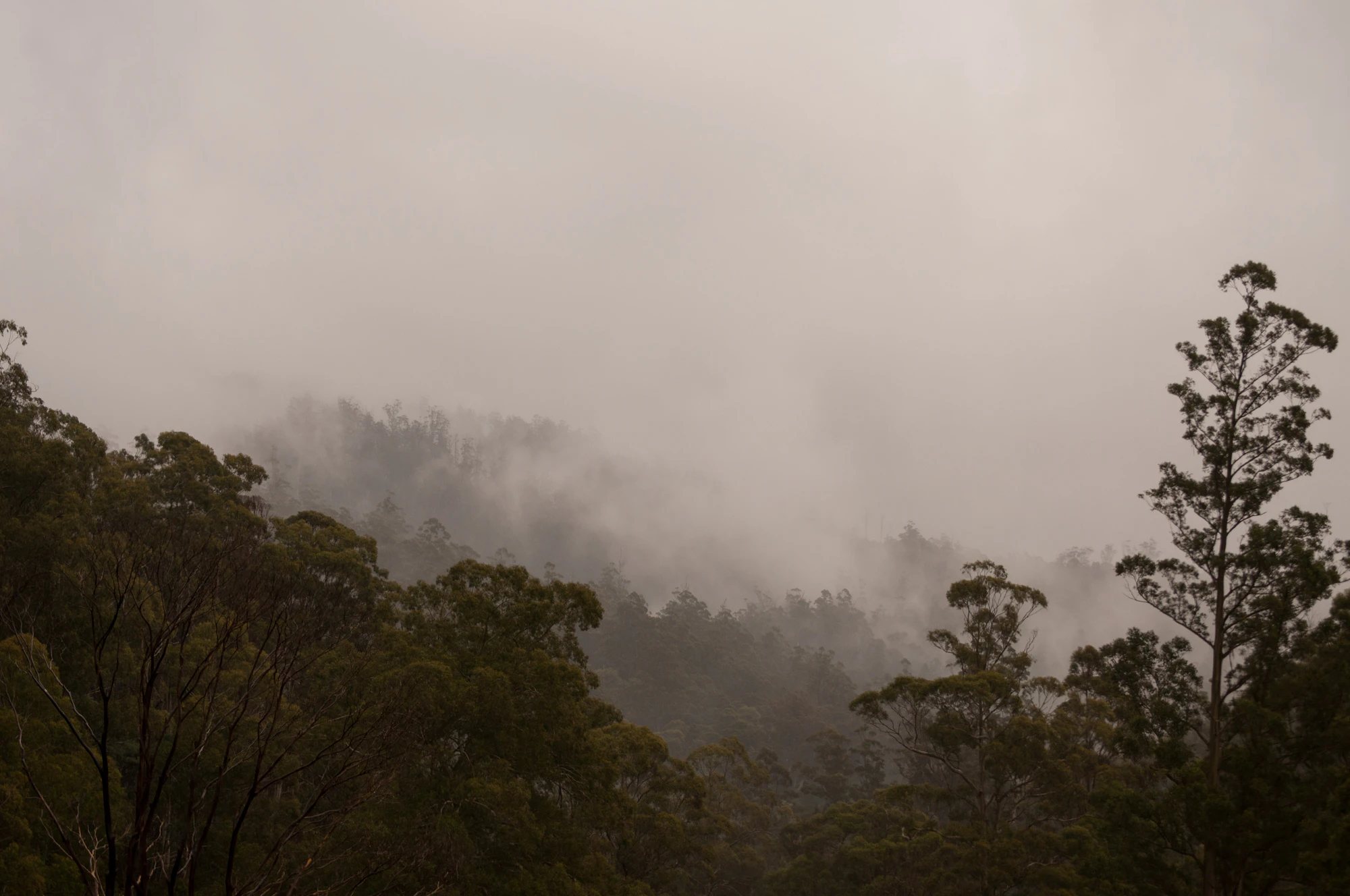 603 — Скачать