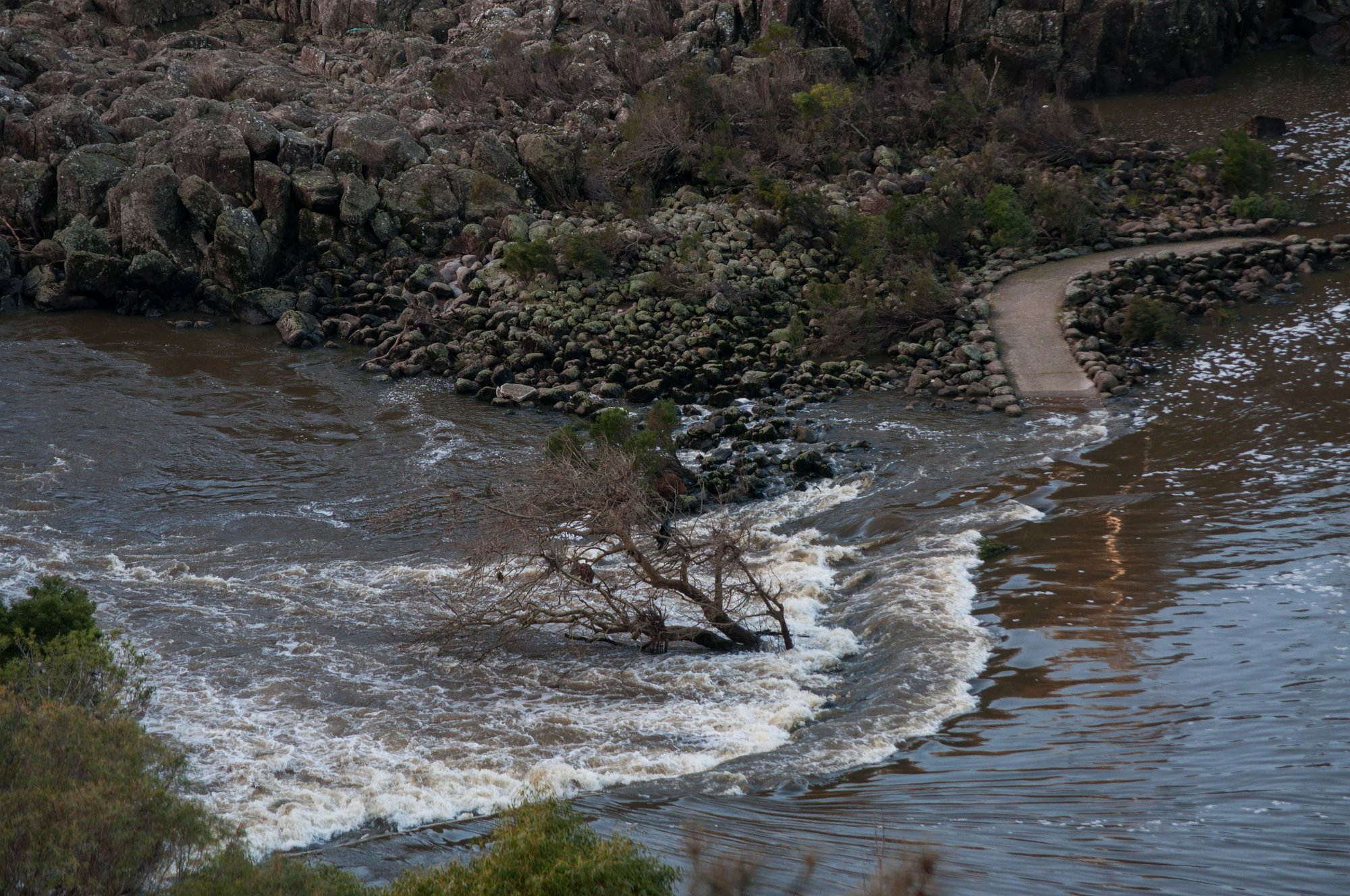 619 — Скачать