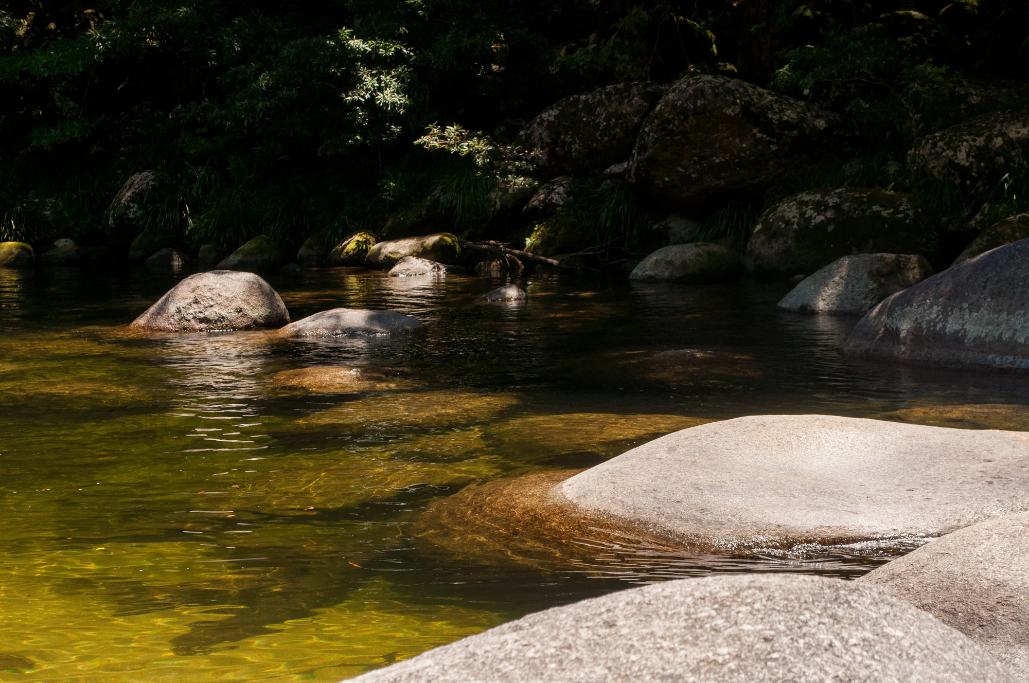 270 — Скачать