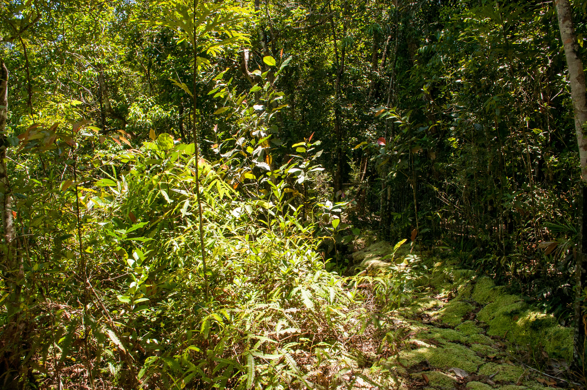 276 — Скачать