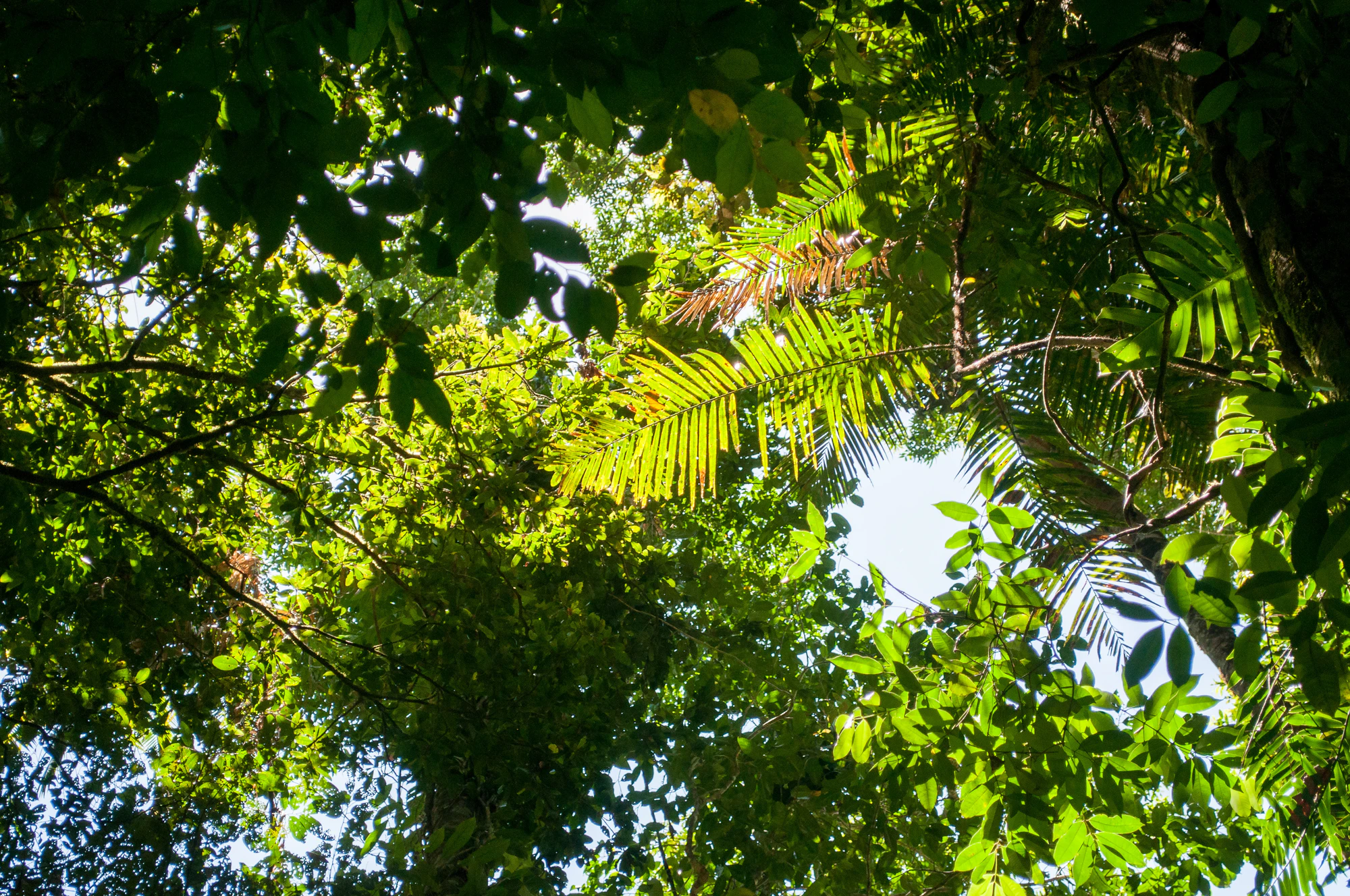 292 — Скачать