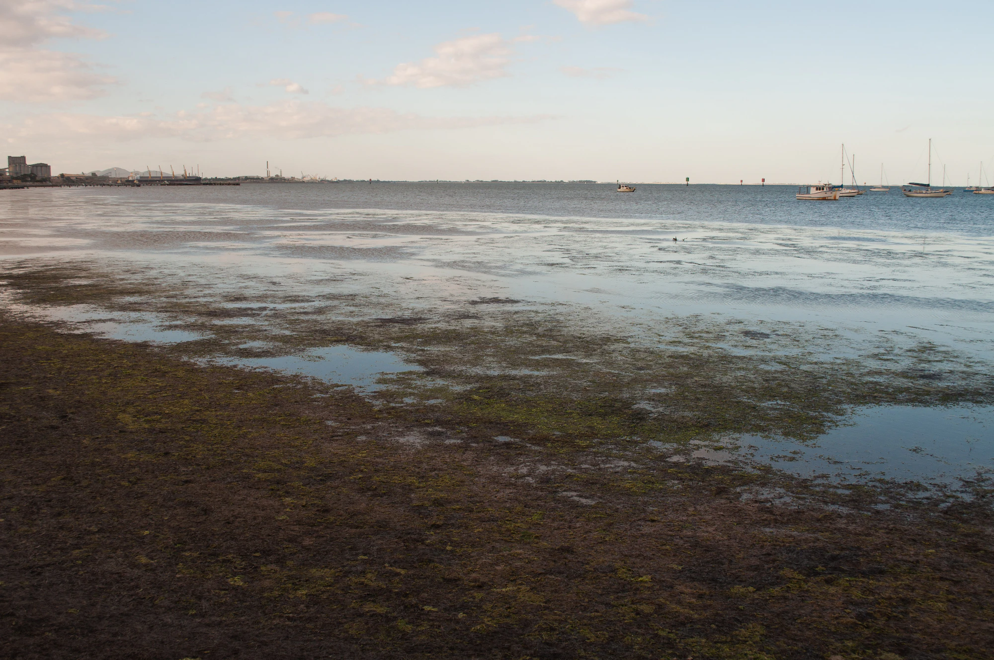 296 — Скачать