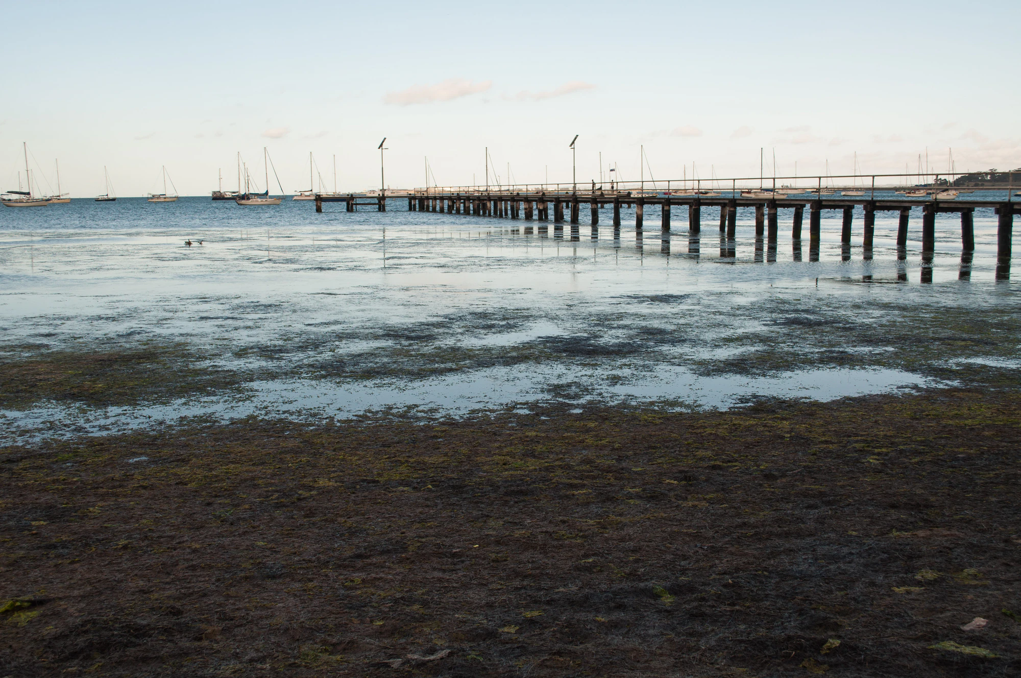 299 — Скачать