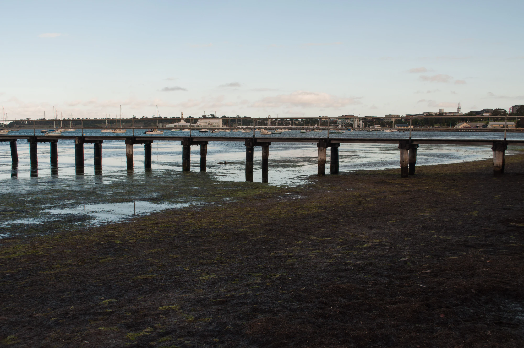 301 — Скачать