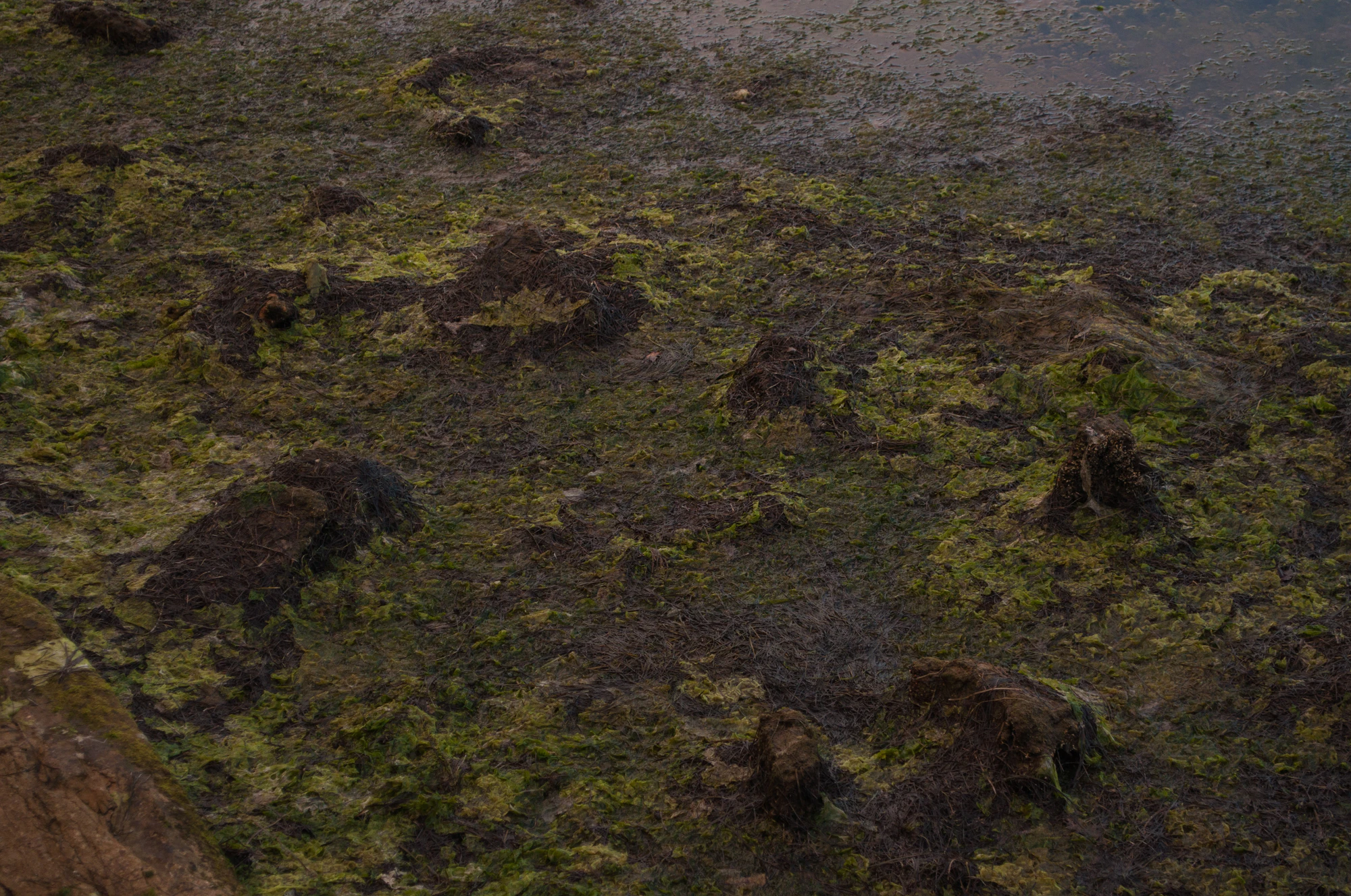 307 — Скачать