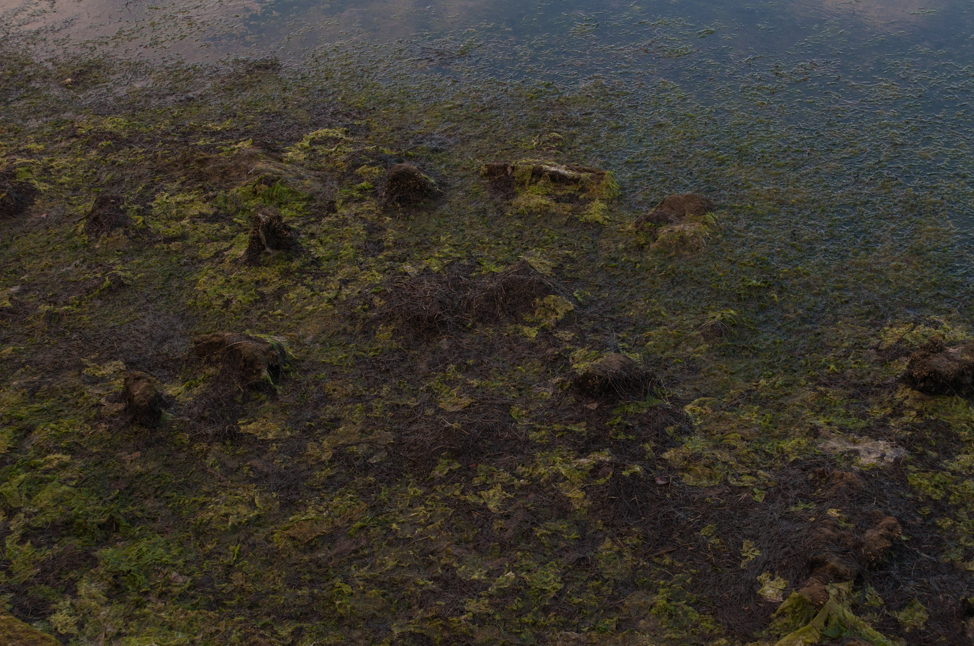 308 — Скачать