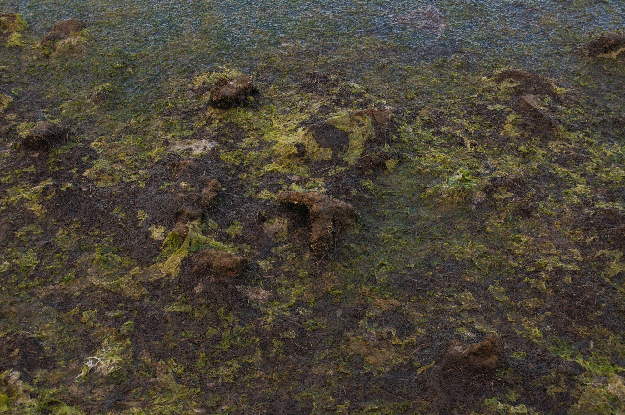 309 — Скачать