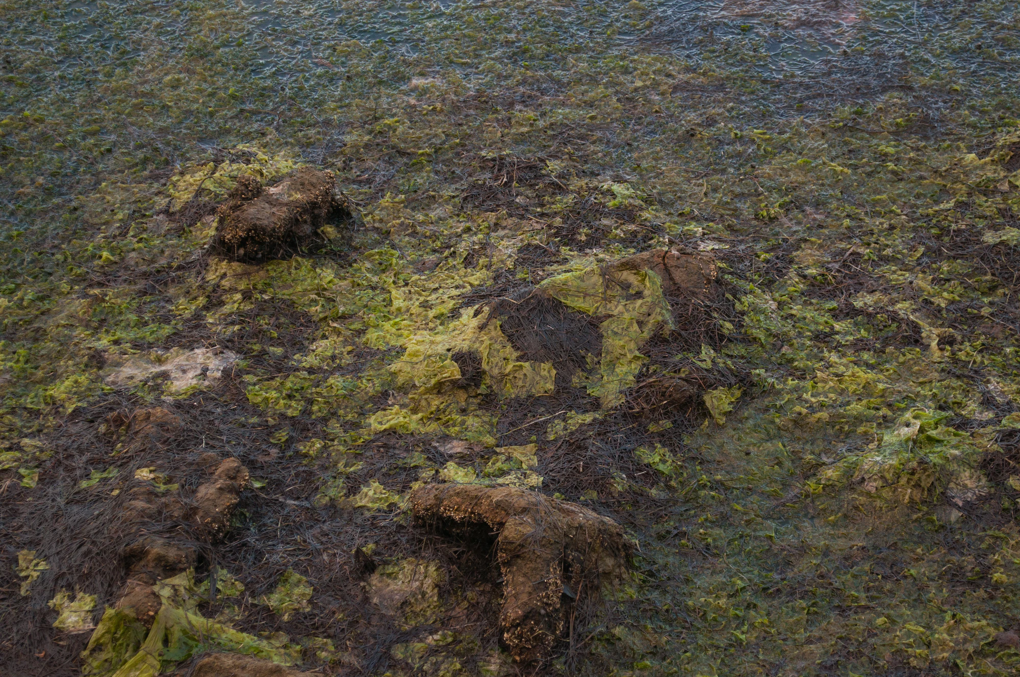 310 — Скачать