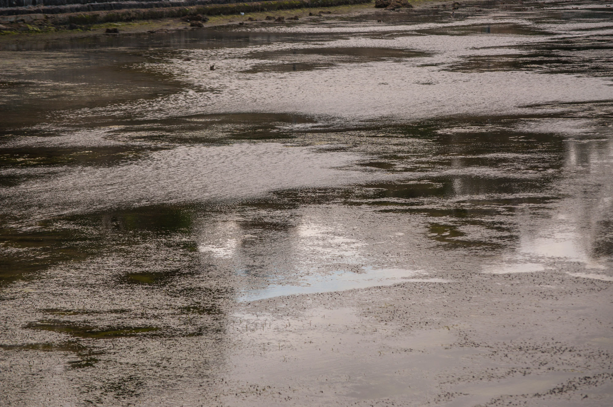 329 — Скачать