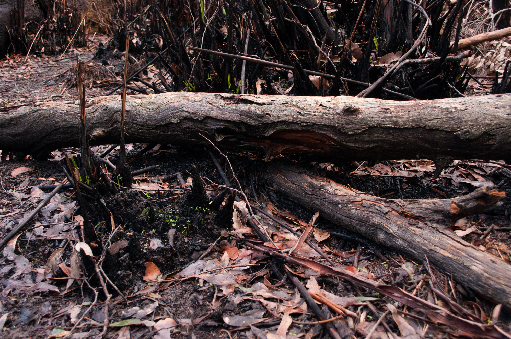 054 — Скачать