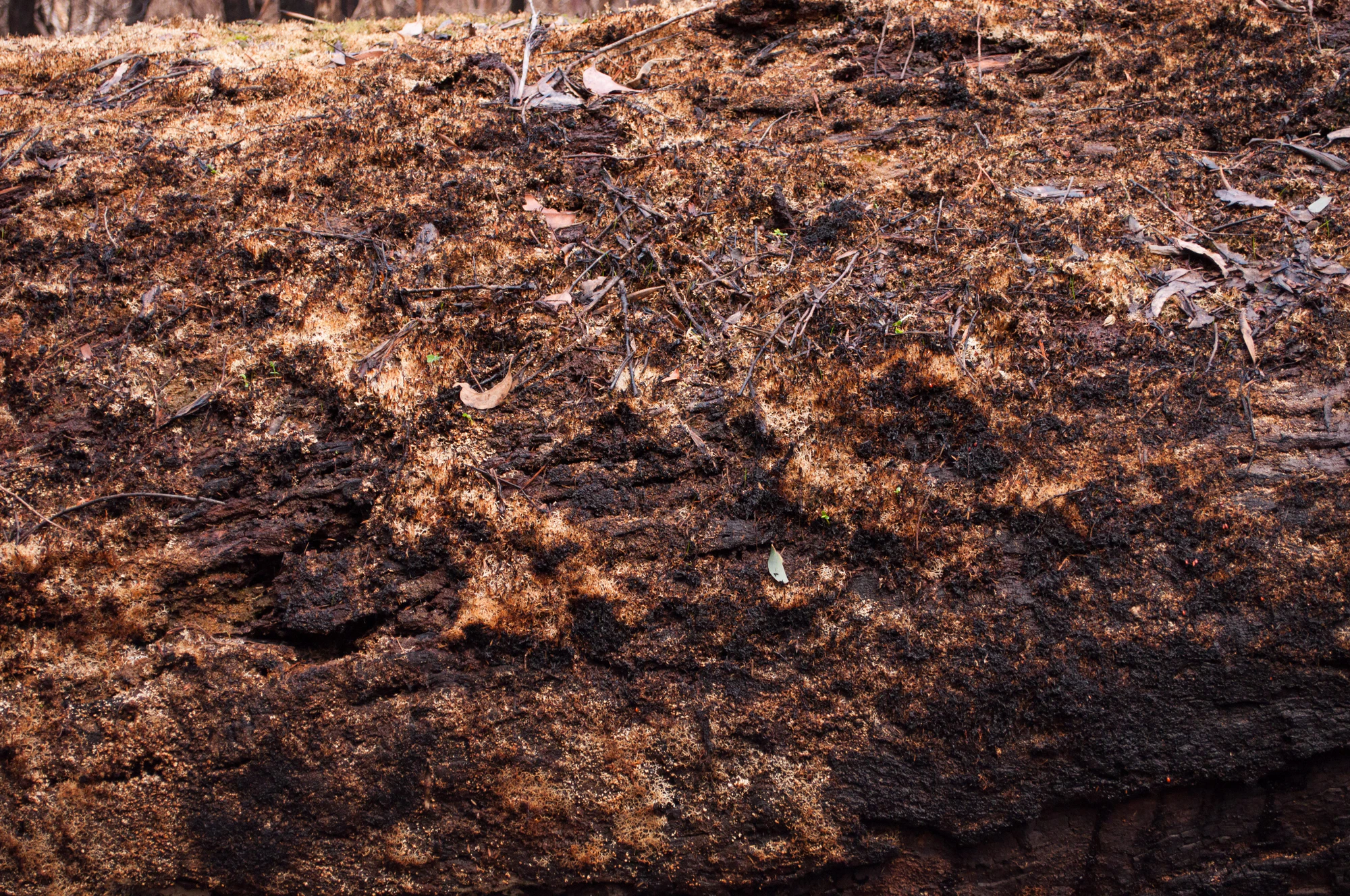 059 — Скачать