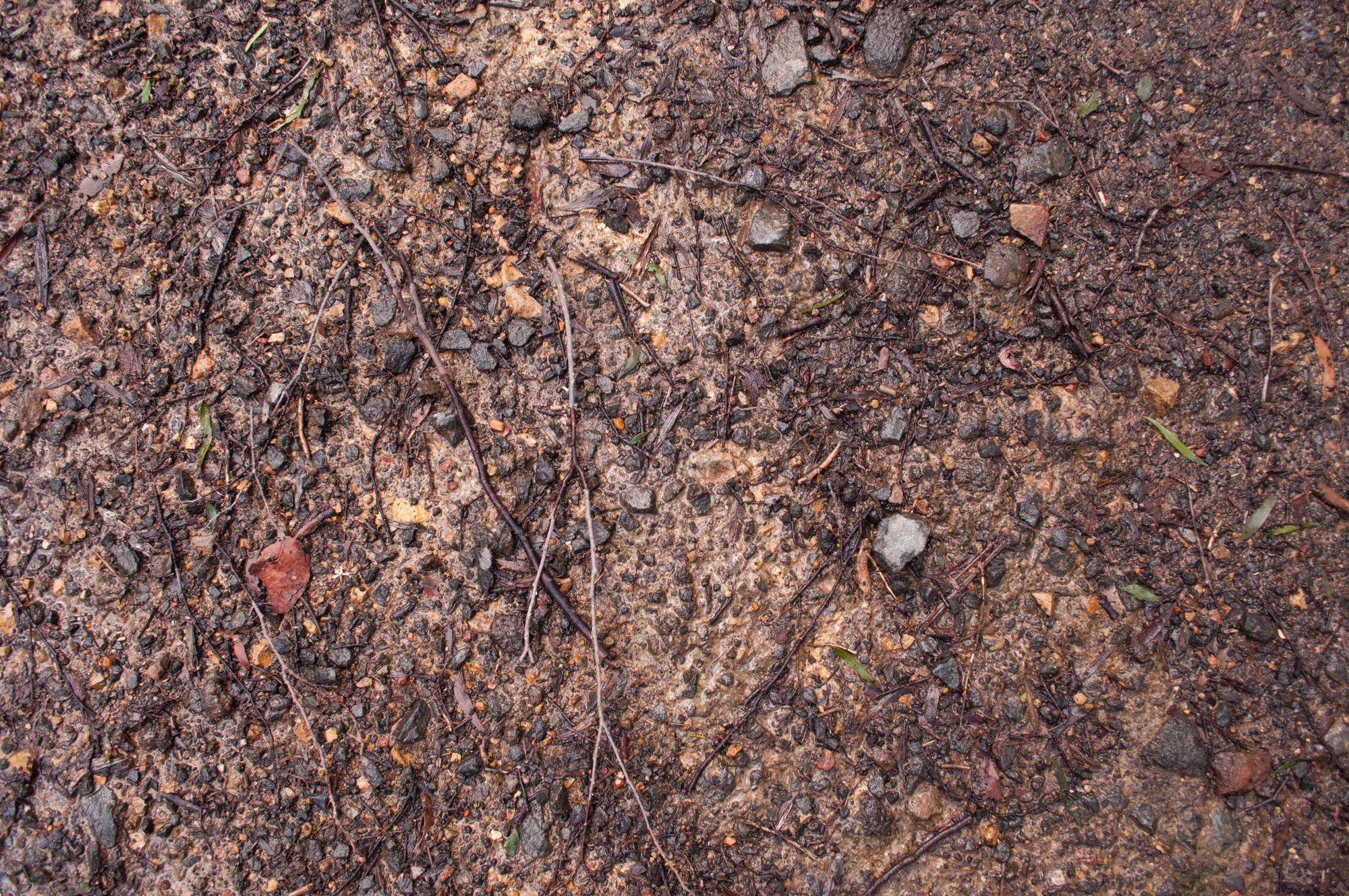 071 — Скачать