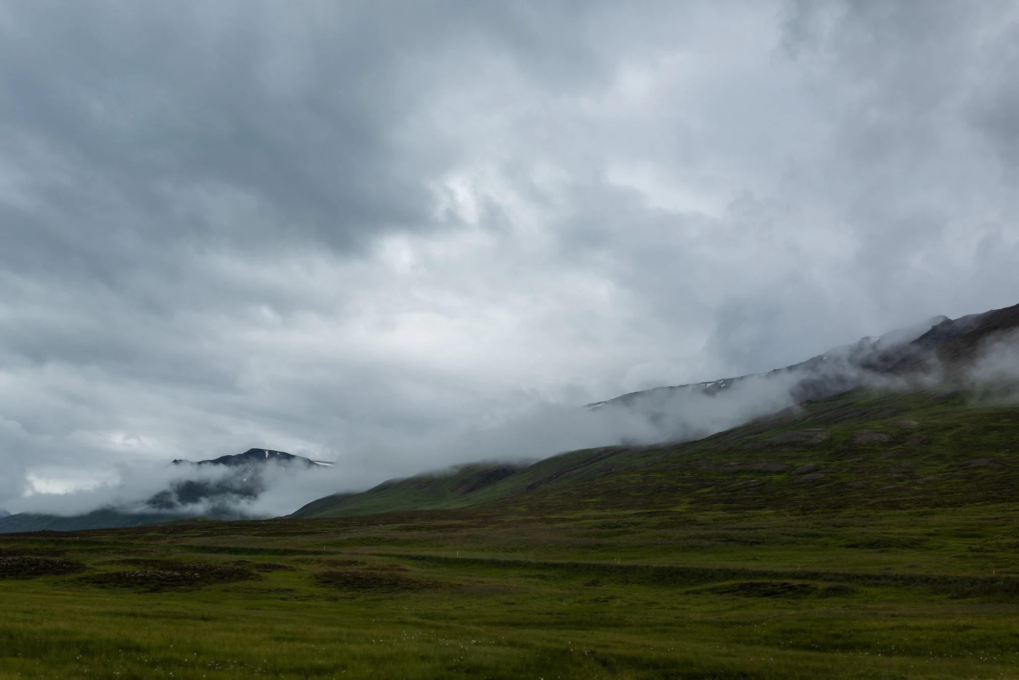 142 — Скачать