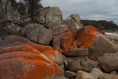 199 — скачать