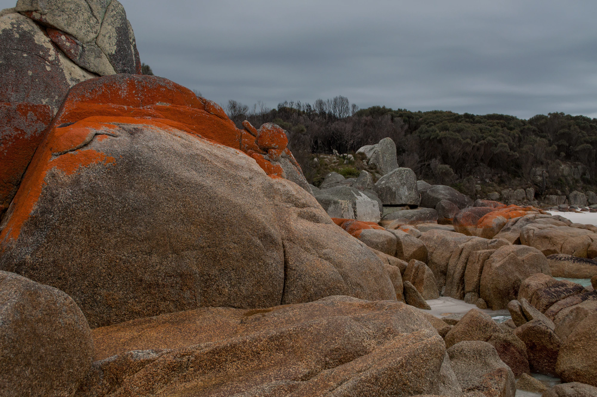 202 — Скачать