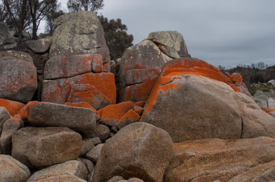 203 — скачать