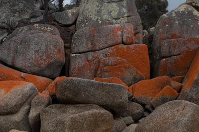 204 — скачать