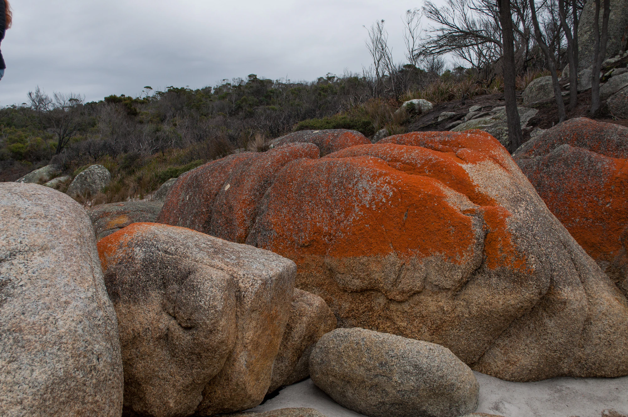 206 — Скачать