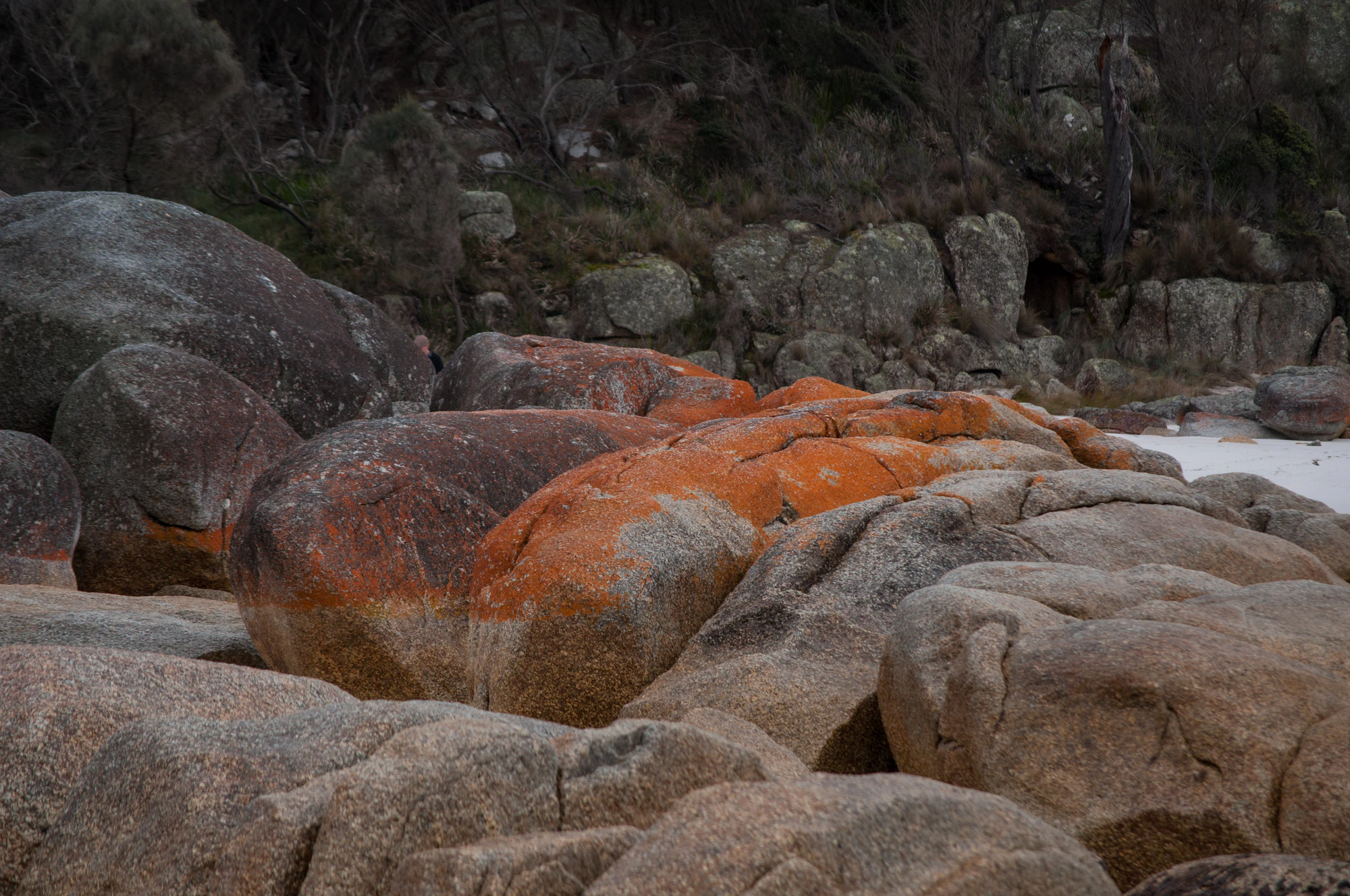 207 — Скачать