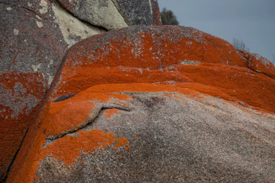 208 — скачать