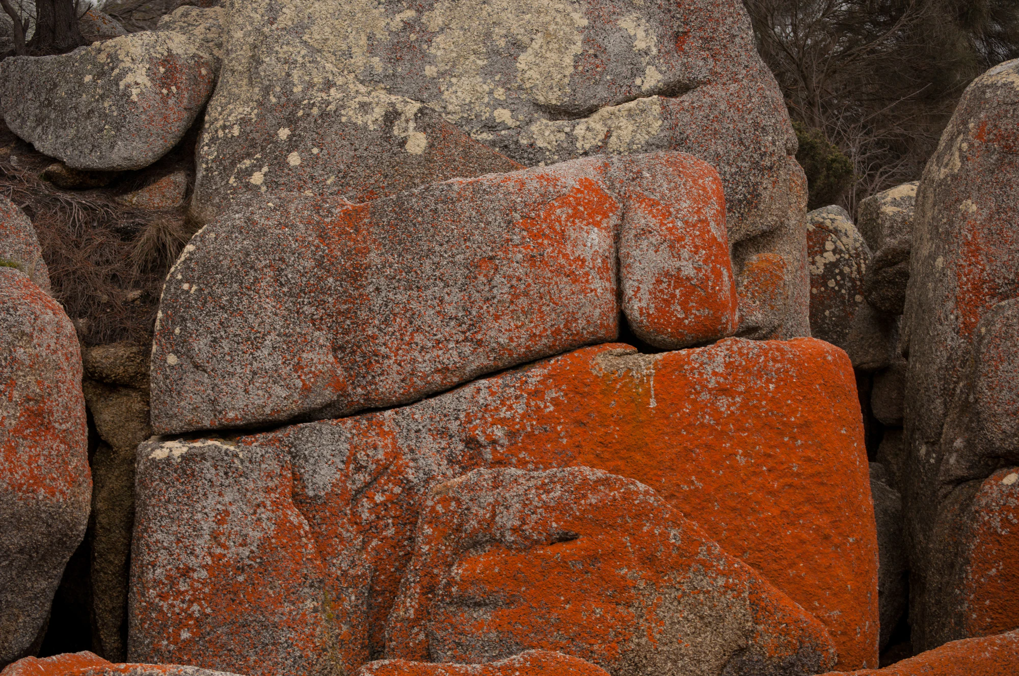 211 — Скачать