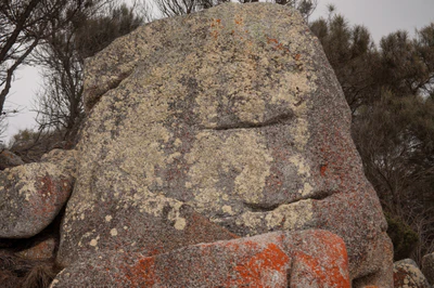 212 — скачать