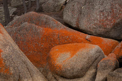 213 — скачать