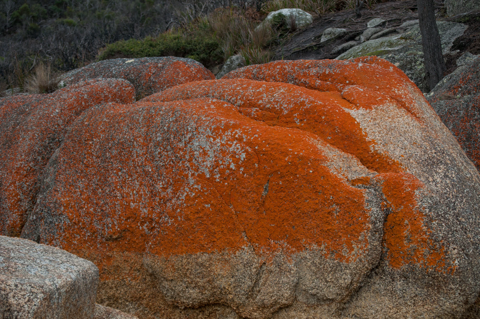 214 — Скачать