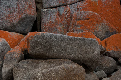 215 — скачать