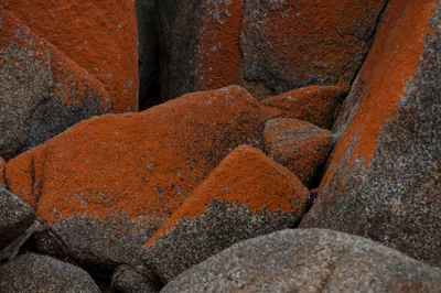 216 — скачать