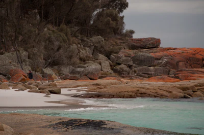 217 — скачать