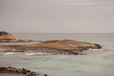 220 — скачать