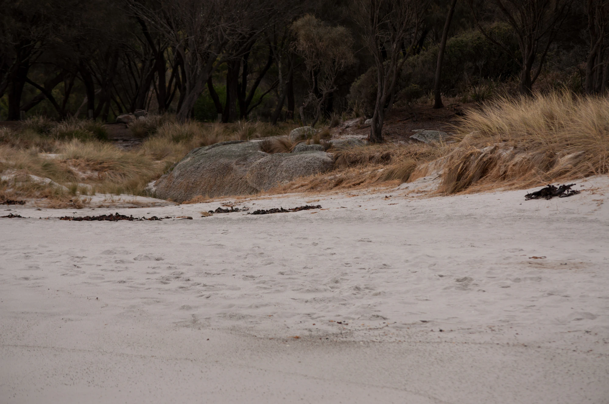 223 — Скачать