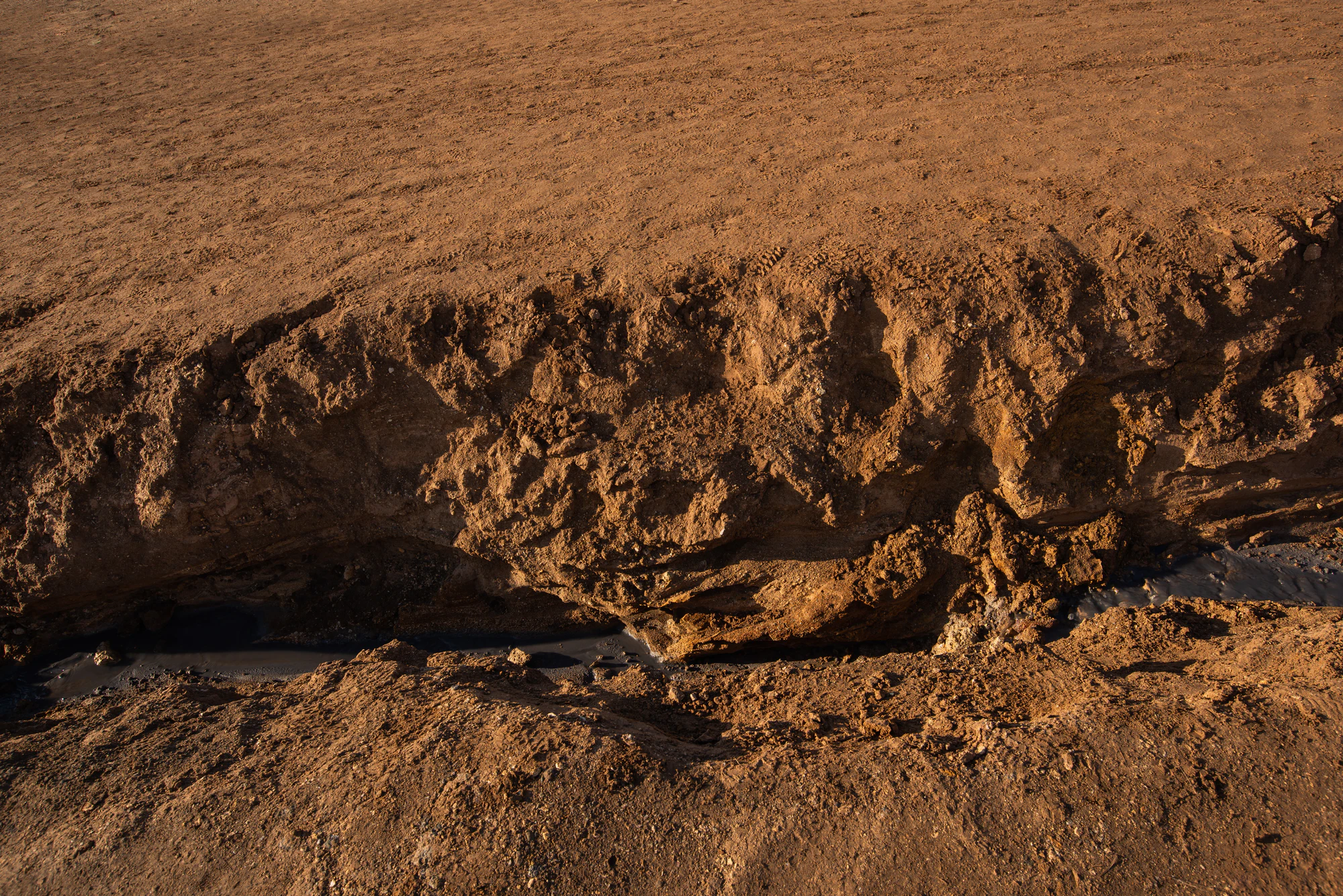 041 — Скачать